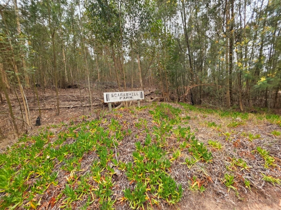 Commercial Property for Sale in Sedgefield Rural Western Cape